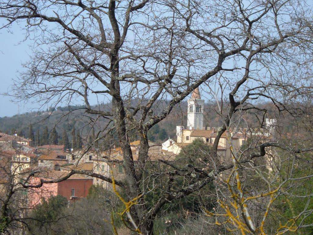 Apartamento Casa Titty Serre Di Rapolano Habitación foto